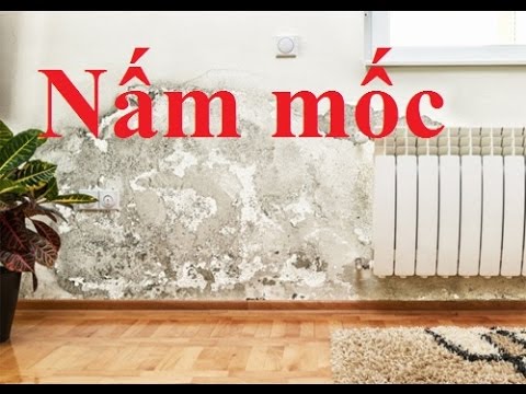 son-tuong-nha-bi-moc